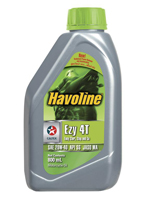 Havoline EZY 4T 